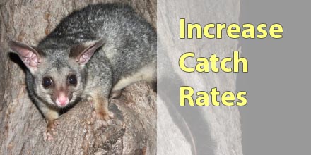 Better Catch Rates